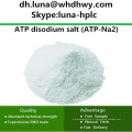 China Supply CAS: 987-65-5 ATP-Na2 / ATP Sal Disodique Adenosine